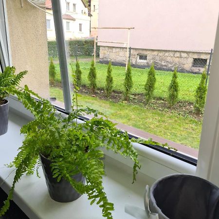 Apartament Przy Rondzie Kladsko Exteriér fotografie